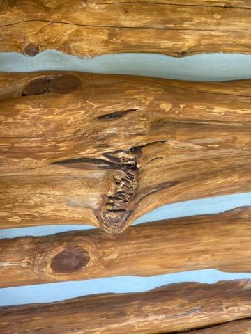 Sticks & Stones hand-notched cedar log cabin work